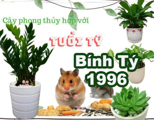 cay-phong-thuy-hop-tuoi-binh-ty-1996-1