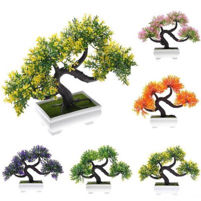 tong-hop-the-cay-bonsai-duoc-ua-chuong-nhat-park-2-1